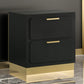 Caer Nightstand 2 Drawers Gold Accent Recessed Base Bar Handles Black By Casagear Home BM318890