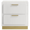 Caer Nightstand 2 Drawers Gold Accent Recessed Base Bar Handles White By Casagear Home BM318893