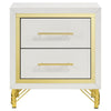 Jenny Nightstand 2 Drawers Hairpin Style Legs in Gold Bar Handles White By Casagear Home BM318896