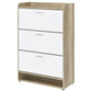 Danny Shoe Storage Cabinet 3 Tiered Bottom Shelf Antiqued White Pine By Casagear Home BM318982