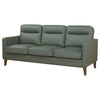 Joey Sofa Green Faux Leather Modern Track Style Arms Hardwood 76 Inch By Casagear Home BM319086