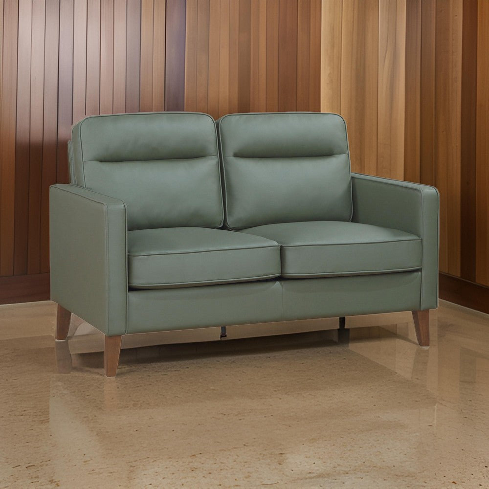 Joey Loveseat Green Faux Leather Modern Track Arms Hardwood 53 Inch By Casagear Home BM319088