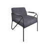 Levy Accent Chair, Iron Gray Polyester, Soft Plush Foam, Black Metal Legs By Casagear Home