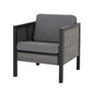 Tomy Outdoor Club Accent Chair Set of 2 Gray Olefin Cushions Black Iron By Casagear Home BM321319