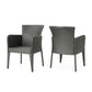 Naya Dining Chair Set of 2, Iron Legs, Modern Gray Resin Wicker Rattan By Casagear Home