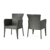 Naya Dining Chair Set of 2, Iron Legs, Modern Gray Resin Wicker Rattan By Casagear Home