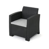 Rika Outdoor Club Chair Black Faux Wicker Gray Water-Resistant Polyester By Casagear Home BM321699