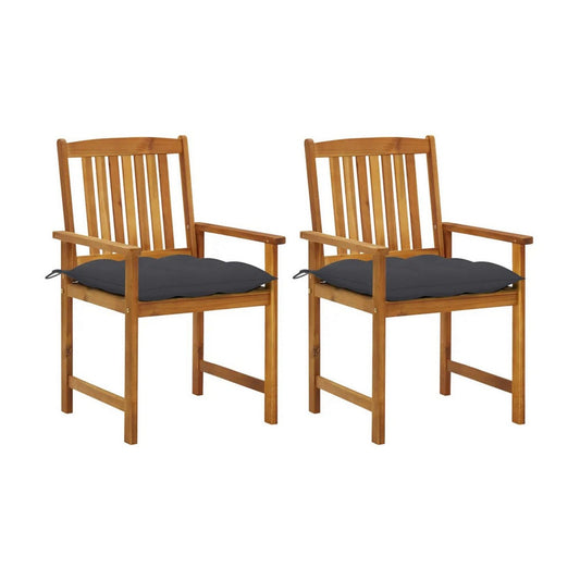 Blaire Outdoor Chair Set of 2, Charcoal Gray Fabric, Brown Acacia Wood