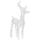 Set of 2 Christmas Reindeer Acrylic and 40 Warm White LED Lights BM325755