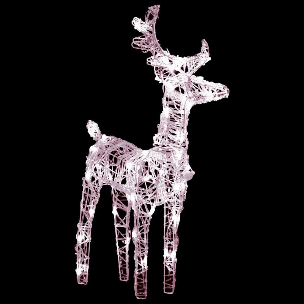 Set of 2 Christmas Reindeer Acrylic and 40 Warm White LED Lights BM325755