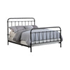 Transitional Styled Metal Queen Bed Bronze CCA-300399Q