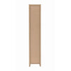 Glimmering Brown Narrow Wooden bookcase CCA-800285