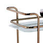 Tiana Contemporary Serving Cart In Champagne Finish By Casagear Home FOA-CM-AC235