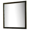 Contemporary Mirror With Wooden Frame Espresso Brown By Casagear Home FOA-CM7088M