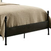 Transitional Queen Size Bed Black By Casagear Home FOA-CM7420Q