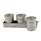 Galvanized Set of Three Planters With Tray Gray - BM164576 BM164576