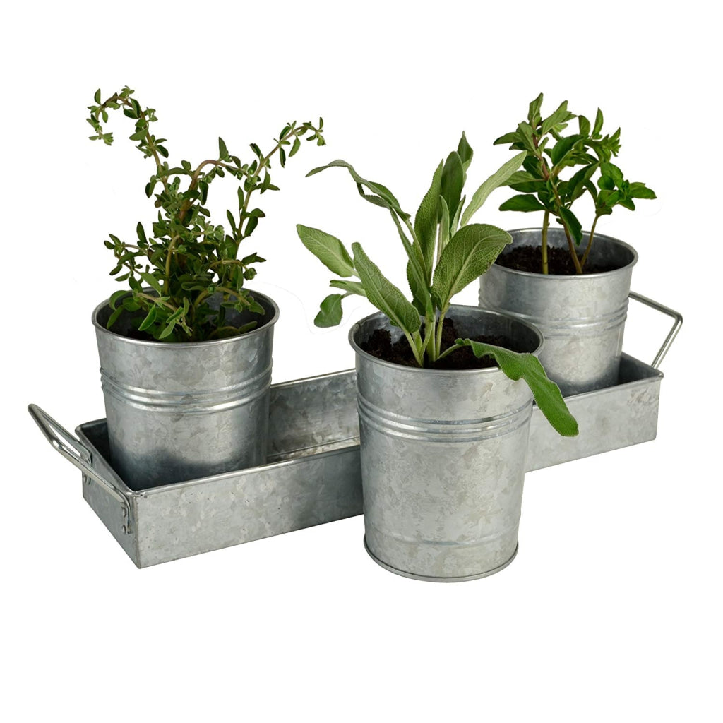 Galvanized Set of Three Planters With Tray Gray - BM164576 BM164576