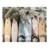 Surfs Up Wall Décor Multi Color MCN-FX-1243-37