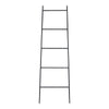 Iron Ladder