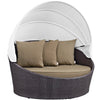 Modway Convene Wicker Rattan Outdoor Patio Retractable Canopy Round Poolside Sofa Daybed in Espresso Mocha