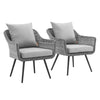 Modway EEI-3176-GRY-GRY-SET Endeavor Outdoor Patio Wicker Rattan Armchair, Set of 2, Gray Gray