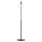 Silo Glass Globe Glass and Metal Floor Lamp - No Shipping Charges MDY-EEI-5616-BLK