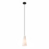 Beacon 1-Light Pendant Light - No Shipping Charges MDY-EEI-5644-CLR-BLK