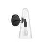 Beacon 1-Light Wall Sconce in Clear Black