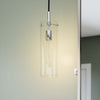 Skylark Pendant Light - No Shipping Charges MDY-EEI-5652-CLR-PON