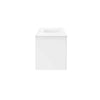 Modway Vitality 48’’ Single Sink Bathroom Vanity White White MDY-EEI-5784-WHI-WHI