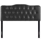 Black Annabel Queen Vinyl Headboard - No Shipping Charges MDY-MOD-5155-BLK