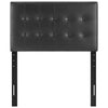 Black Emily Twin Vinyl Headboard - No Shipping Charges MDY-MOD-5177-BLK