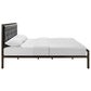 Modway Mia Upholstered Brown Beige Tufted Platform Bed with Metal Slat Support in Queen MDY-MOD-5182-BRN-GRY-SET