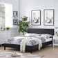 Anya Full Bed Black - No Shipping Charges MDY-MOD-5417-BLK