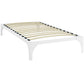 Ollie Twin Bed Frame White - No Shipping Charges MDY-MOD-5430-WHI