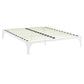 Ollie Queen Bed Frame White - No Shipping Charges MDY-MOD-5432-WHI