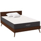 MOD-5488-WHI Aveline 10’’ Full Mattress by Modway MDY-MOD-5488-WHI