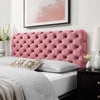 Lizzy Tufted Full/Queen Performance Velvet Headboard - No Shipping Charges MDY-MOD-6031-DUS