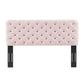 Lizzy Tufted Full/Queen Performance Velvet Headboard - No Shipping Charges MDY-MOD-6031-CHA