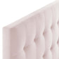 Modway Lily Biscuit Tufted Twin Performance Velvet Headboard Pink MDY-MOD-6118-PNK