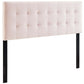 Modway Lily Biscuit Tufted Full Performance Velvet Headboard, Pink