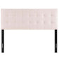 Modway Lily Queen Biscuit Tufted Performance Velvet Headboard Pink MDY-MOD-6120-PNK