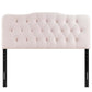 Modway Annabel Diamond Tufted Performance Velvet King Headboard in Pink MDY-MOD-6127-PNK