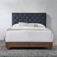 Rhiannon Diamond Tufted Upholstered Performance Velvet Queen Bed - No Shipping Charges MDY-MOD-6147-WAL-CHA