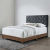 Rhiannon Diamond Tufted Upholstered Performance Velvet Queen Bed - No Shipping Charges MDY-MOD-6147-WAL-CHA