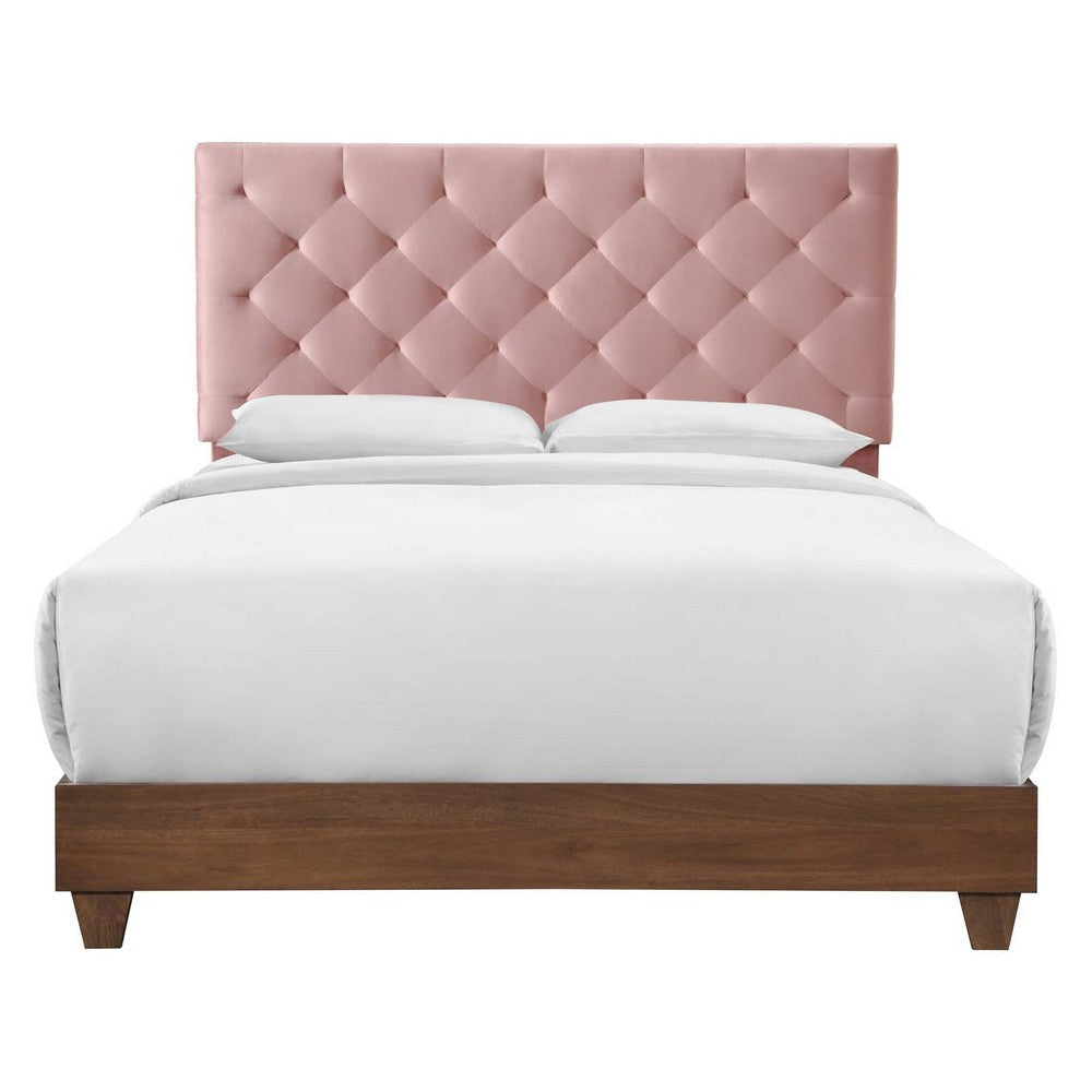 Rhiannon Diamond Tufted Upholstered Performance Velvet Queen Bed - No Shipping Charges MDY-MOD-6147-WAL-DUS