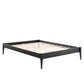 June Queen Wood Platform Bed Frame - No Shipping Charges MDY-MOD-6246-BLK