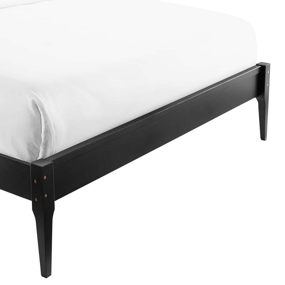 June Queen Wood Platform Bed Frame - No Shipping Charges MDY-MOD-6246-BLK