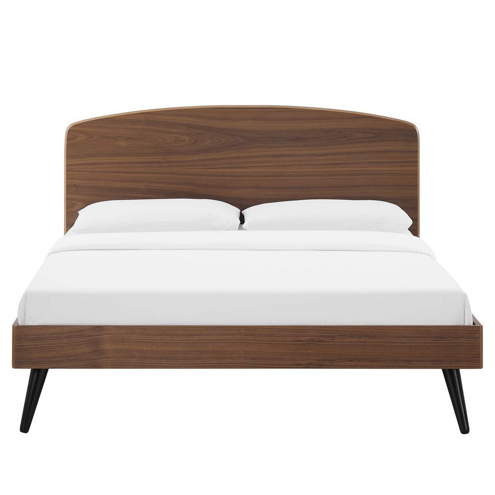 Modway Bronwen Full Wood Platform Bed in Walnut MDY-MOD-6253-WAL