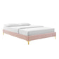 Modway MOD-6305-PNK Sutton Twin Performance Velvet Bed Frame, Pink